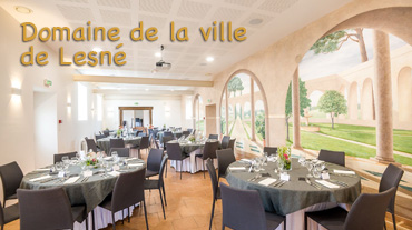 https://domaine-de-la-ville-lesne.business.site/